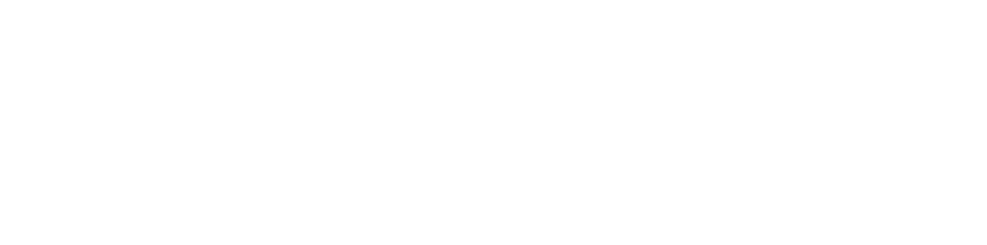 Logo SEEHUNGER